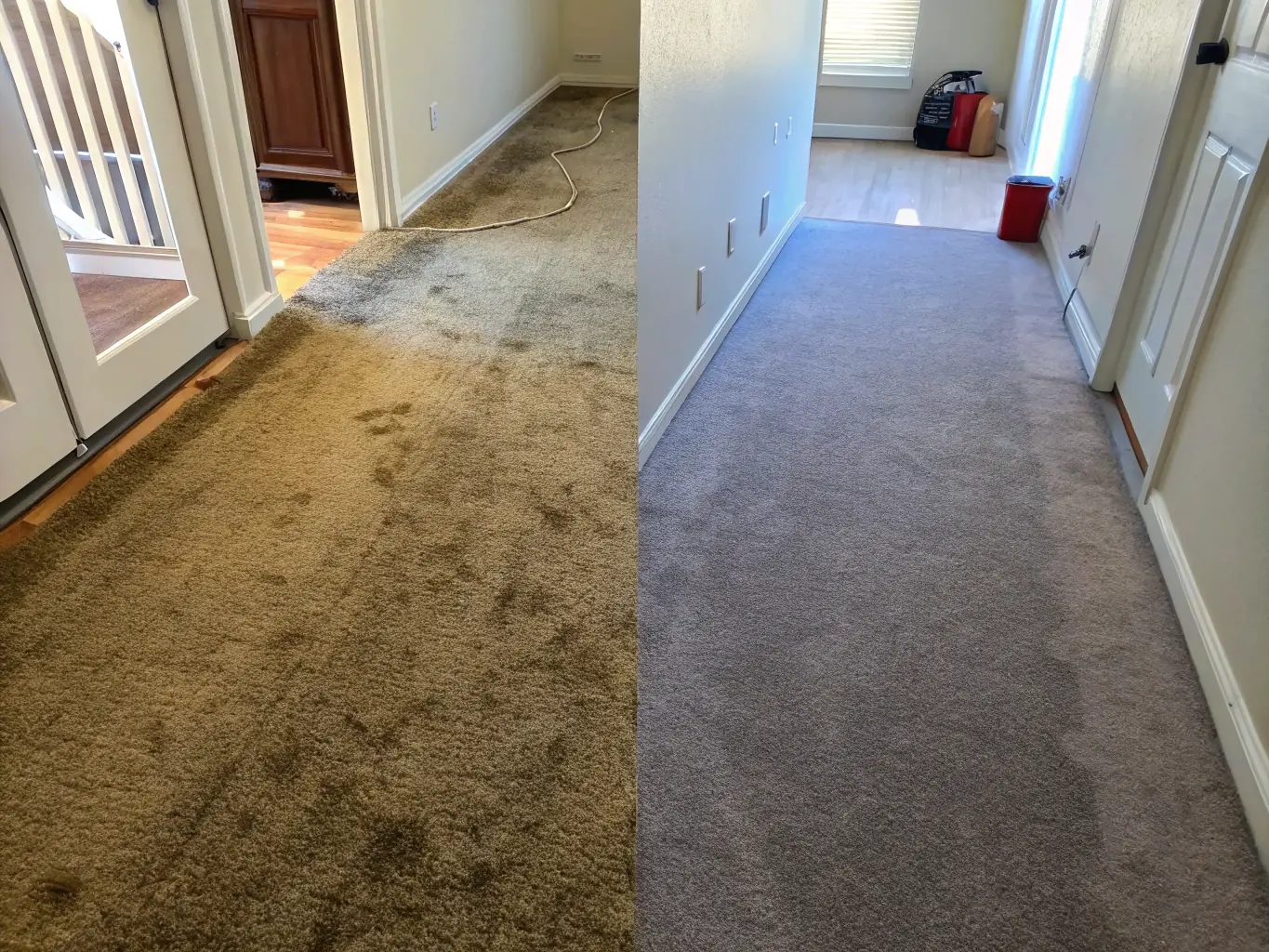 A before-and-after shot of a commercial carpet, with one half visibly stained and dirty, and the other half clean and refreshed after professional cleaning.